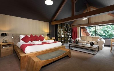 expediav2-52572-3307059560-801209